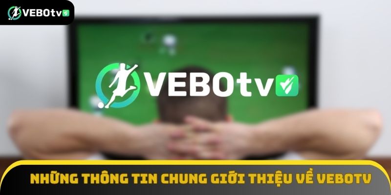 Những thông tin chung khi giới thiệu về VeboTV